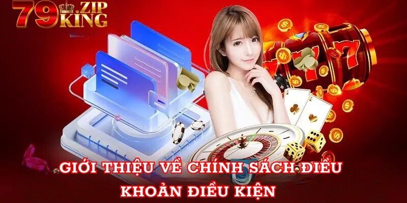 Dieu khoan ve chinh sach 79king